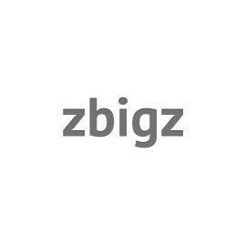 6 months Premium zbigz