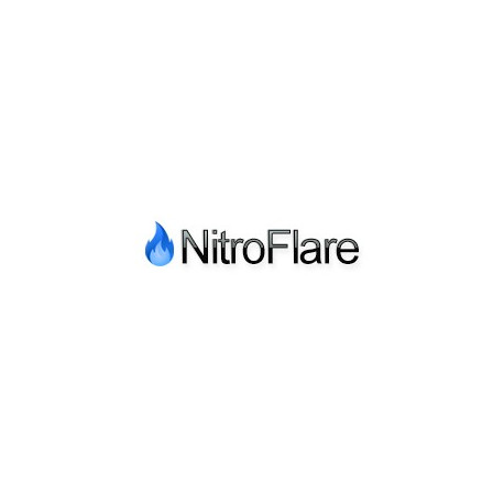 Nitroflare 30 jours Compte Premium